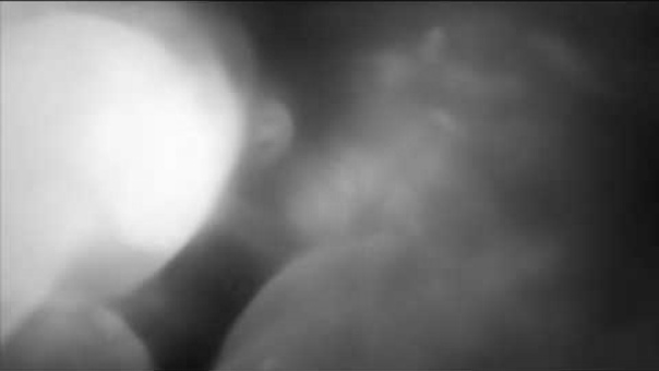 Oneclick – Plataforma Solidária Online