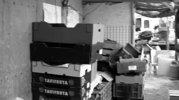 Agricultura & Vida – um trabalho para a Sustentabilidade