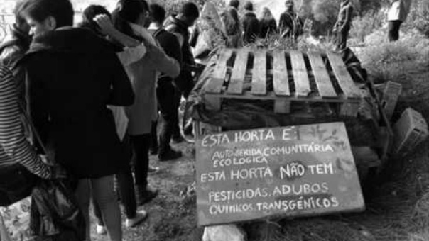 Associação LOCAL25 – Cidades mais Ecológicas, Inclusivas e Resilientes